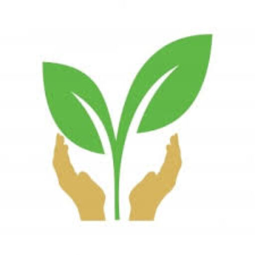 GUERISSEUR TRADITIONNEL